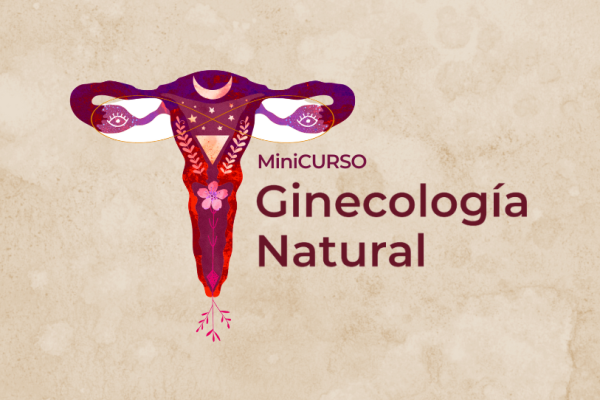6- MiniCurso Ginecologia Natural